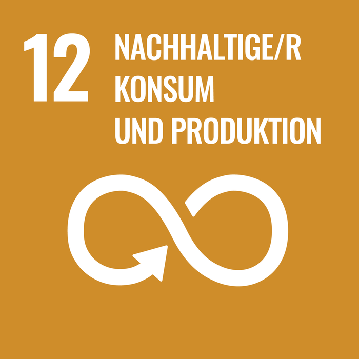 SDG 12 - Nachhaltiger Konsum und Produktion
