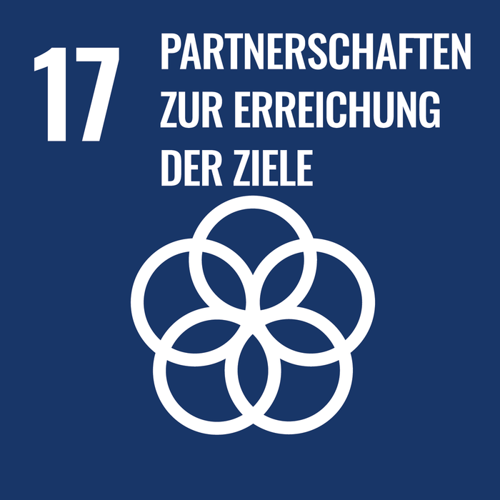 SDG 17 - Partnerschaften zur Erreichung der Ziele