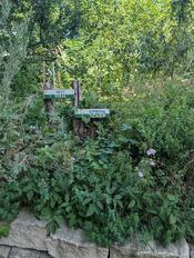Creative Sustainability (9)